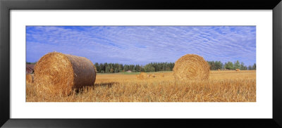 Straw Rolls, Sweden by Panoramic Images Pricing Limited Edition Print image