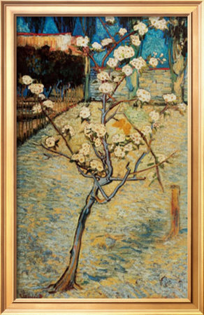 Pear Tree In Bloom, C.1888 by Vincent Van Gogh Pricing Limited Edition Print image
