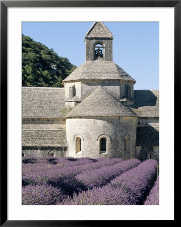 Abbaye De Senanque, Vaucluse, Provence, France by Bruno Morandi Pricing Limited Edition Print image