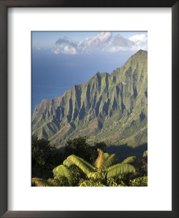Kalalau Valley Overlooking Kokee State Park, Kokee State Park by John Elk Iii Pricing Limited Edition Print image