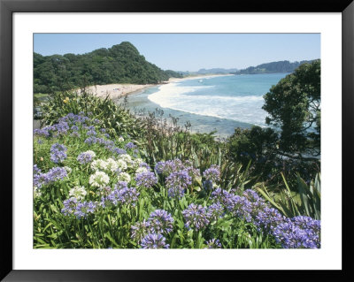 Hot Water Beach, Coromandel Peninsula, South Auckland, North Island, New Zealand by Ken Gillham Pricing Limited Edition Print image