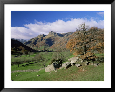 Langdale Pikes From Great Langdale, Lake District National Park, Cumbria, England by Roy Rainford Pricing Limited Edition Print image