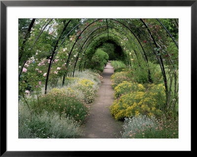 Gardens, Crathes Castle, Grampian, Scotland, United Kingdom by Kathy Collins Pricing Limited Edition Print image