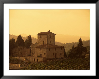 Farms And Vines, Tuscany, Italy by J Lightfoot Pricing Limited Edition Print image