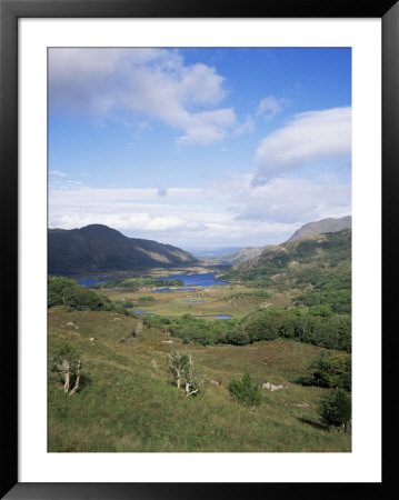 Ladies View, Ring Of Kerry, Killarney, County Kerry, Munster, Eire (Republic Of Ireland) by Roy Rainford Pricing Limited Edition Print image