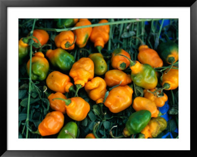 Habanero Chillies At Tepoztlan Market, Tepoztlan, Morelos, Mexico by Greg Elms Pricing Limited Edition Print image