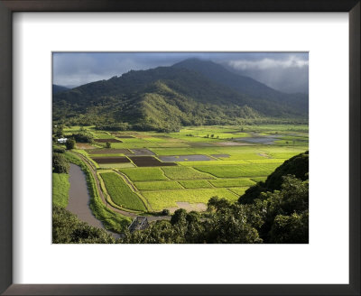 Hanalei Valley With Taro Fields Below, Kauai, Hawaii by John Elk Iii Pricing Limited Edition Print image
