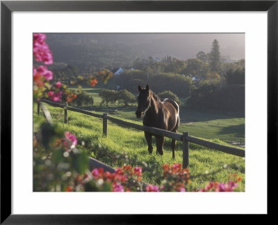 Constantia Winery, Cape Town, South Africa by Stuart Westmoreland Pricing Limited Edition Print image