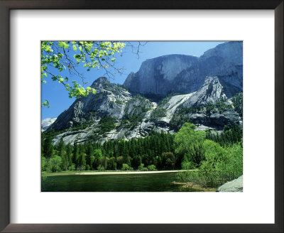 Half Dome Summit Is At 2695 Metres, California, Usa by Richard Packwood Pricing Limited Edition Print image