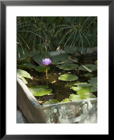 Ahilya Fort Now A Heritage Hotel On The Banks Of The Narmada River, Madhya Pradesh State, India by R H Productions Pricing Limited Edition Print image