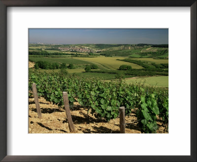 Vineyards Near Irancy, Burgundy, France by Michael Busselle Pricing Limited Edition Print image