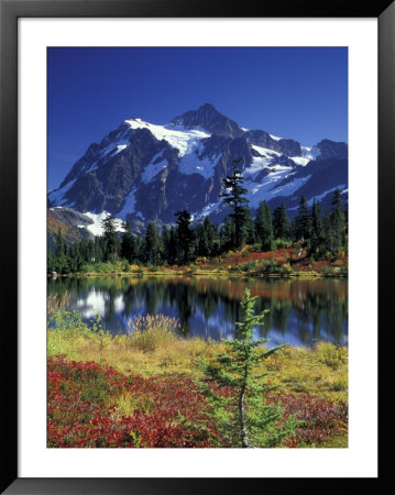 Picture Lake And Mount Shuksan At Heather Meadows, Washington, Usa by Jamie & Judy Wild Pricing Limited Edition Print image