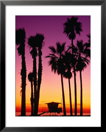 Palm Trees At Sunset, Venice Beach, Los Angeles, Los Angeles, California, Usa by Richard Cummins Pricing Limited Edition Print image