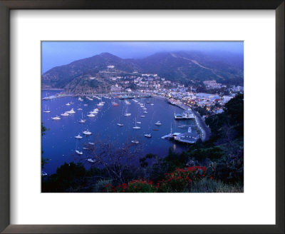 Avalon, From West, Santa Catalina Island, California by John Elk Iii Pricing Limited Edition Print image
