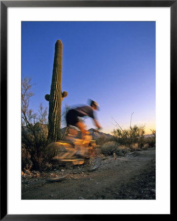 Mountain Biker On Trail Near Tucson, Arizona, Usa by Chuck Haney Pricing Limited Edition Print image