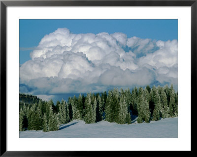 Scenic Landscape Near Cedar City by James P. Blair Pricing Limited Edition Print image
