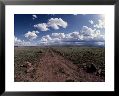 A Dirt Road Leads To The Horizon by George Grall Pricing Limited Edition Print image