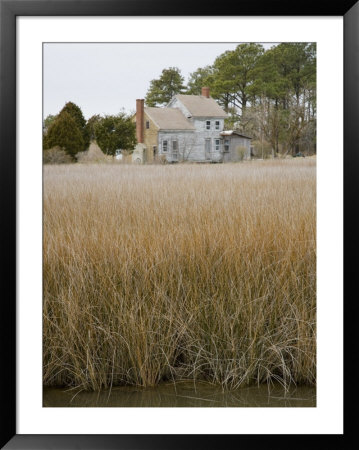 Abandoned House Among Coastal Grasses On Chesapeake Bay, Maryland by David Evans Pricing Limited Edition Print image