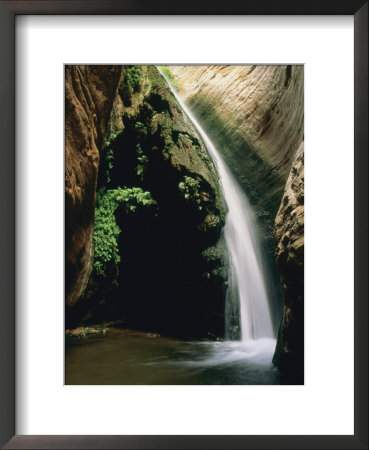Stone Creek Waterfall, Grand Canyon, Arizona by David Edwards Pricing Limited Edition Print image