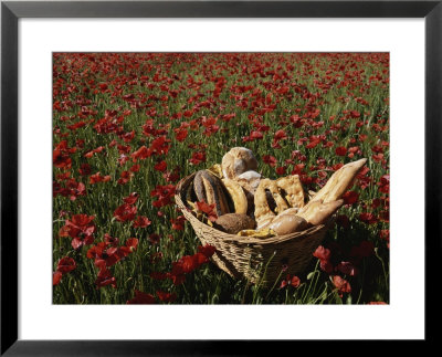 Basket Of Bread In A Poppy Field In Provence by Nicole Duplaix Pricing Limited Edition Print image