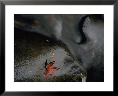 Close View Of A River Sliding Over Boulders by Randy Olson Pricing Limited Edition Print image