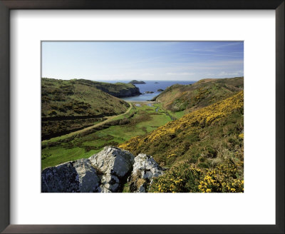 View To Sea And Beach From Coast Path Near Lower Solva, Pembrokeshire, Wales, United Kingdom by Lee Frost Pricing Limited Edition Print image