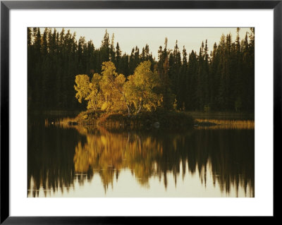 Surrounding Forest Is Reflected In The Still Lake by Raymond Gehman Pricing Limited Edition Print image