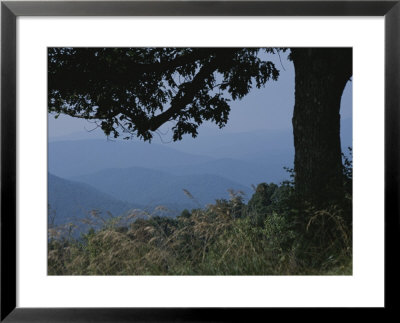 Tree-Framed View Shows How The Blue Ridge Mountains Got Their Name by Stephen St. John Pricing Limited Edition Print image