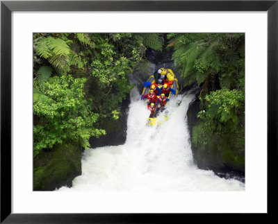 Raft In Tutea's Falls, Okere River, New Zealand by David Wall Pricing Limited Edition Print image