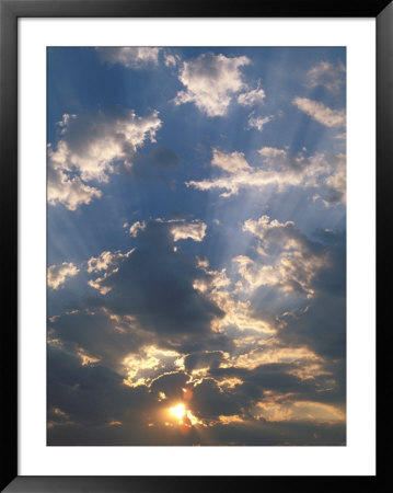 Sunrise, Okavango Delta, Botswana by Pete Oxford Pricing Limited Edition Print image