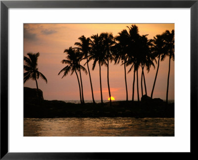 Palm Trees Silhouetted Against Sunset, Hikkaduwa, Southern, Sri Lanka by Mark Daffey Pricing Limited Edition Print image