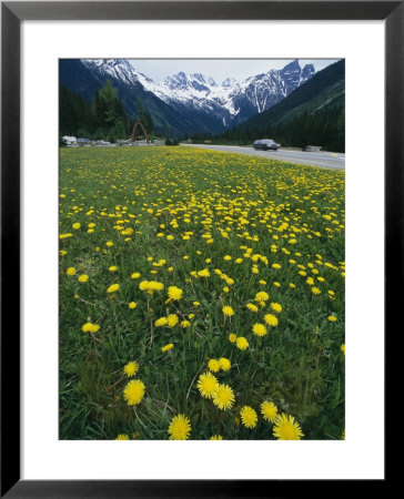 Rogers Pass, Glacier National Park, British Columbia, Canada by Michael S. Lewis Pricing Limited Edition Print image