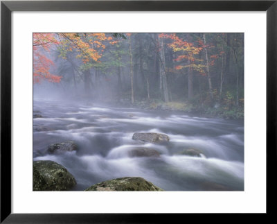 Big Moose River Rapids In Fall, Adirondacks, New York, Usa by Nancy Rotenberg Pricing Limited Edition Print image