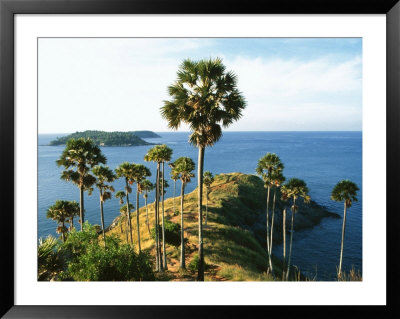 Palm Trees, Water, Phuket, Thailand by Jacob Halaska Pricing Limited Edition Print image