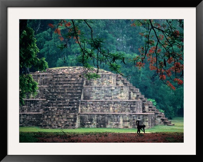 Royal Tomb, Maya, Copan, Honduras by Kenneth Garrett Pricing Limited Edition Print image
