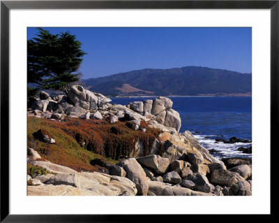 17-Mile Drive, Pescadero Point, Carmel, California, Usa by Nik Wheeler Pricing Limited Edition Print image