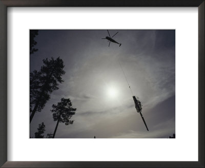A Helicopter Lifts Cut Timber From The Forest; Helicopter Logging Is Said To Be Easier On Forest by Joel Sartore Pricing Limited Edition Print image