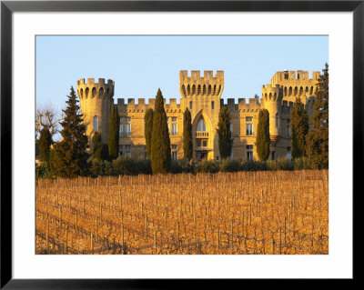 Vineyard With Syrah Vines And Chateau Des Fines Roches, Chateauneuf-Du-Pape, Vaucluse by Per Karlsson Pricing Limited Edition Print image