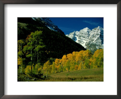 Autumn View Of Aspen Trees Against A Backdrop Of Snow-Covered Mountains by Paul Chesley Pricing Limited Edition Print image