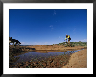 Dog With Cyclist Riding Along Water In Slick Rock, Arizona by David Edwards Pricing Limited Edition Print image