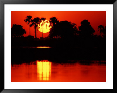 Tropical Sunset In North Central Botswana by Charles Sleicher Pricing Limited Edition Print image