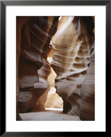 Slot Canyon In Red Sandstone, Antelope Canyon, Near Page, Arizona, Usa by Tony Waltham Pricing Limited Edition Print image