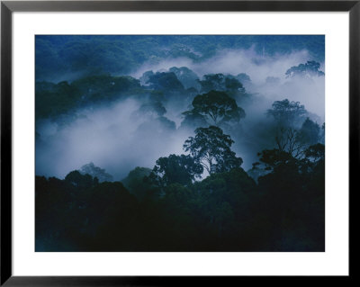An Early Morning Mist Enshrouds The Danum Valley Rain Forest In Northeastern Borneo by Mattias Klum Pricing Limited Edition Print image