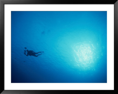 A Diver Carrying Lights Swims Through Blue, Sunlit Water by Heather Perry Pricing Limited Edition Print image