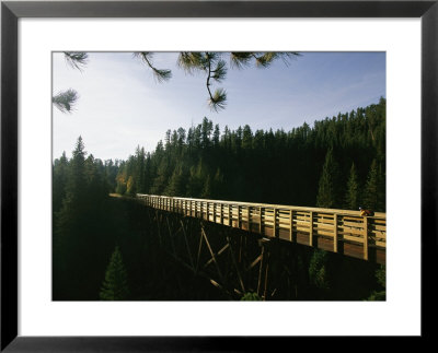 A Cyclist On The Mickelson Trail Bridge Which Runs Through The Heart Of The Black Hills by Bobby Model Pricing Limited Edition Print image