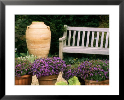 Potted Plants And A Garden Bench In The Chicago Botanic Garden by Paul Damien Pricing Limited Edition Print image