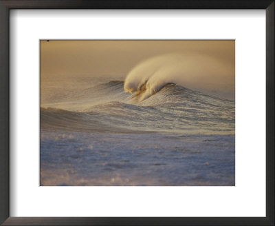 Sunlight Reflects Off Surf At Sunrise by Rich Reid Pricing Limited Edition Print image