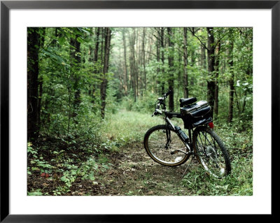 A Bike Rests On A Woodland Trail by Al Petteway Pricing Limited Edition Print image