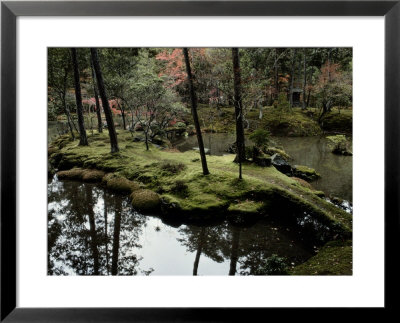 Japanese Garden At Saihoji Temple by Sam Abell Pricing Limited Edition Print image
