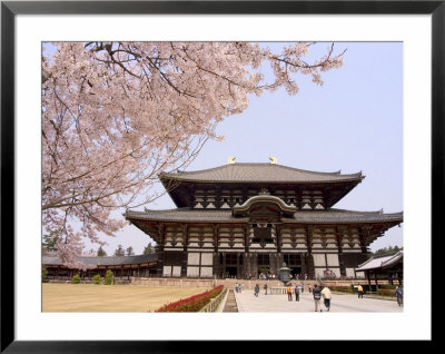 Cherry Blossoms, The Great Buddha Hall, Todaiji Temple, Nara, Honshu Island, Japan by Christian Kober Pricing Limited Edition Print image
